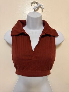 Urban Outfitters Rust Ribbed Polo Crop Top